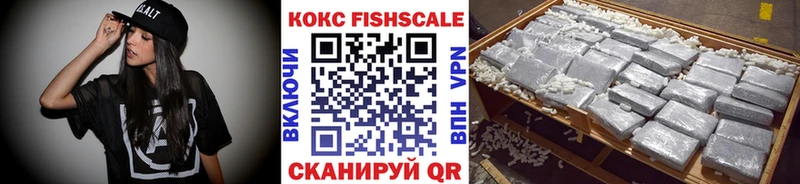 маркетплейс как зайти  продажа наркотиков  Полевской  Cocaine Fish Scale 