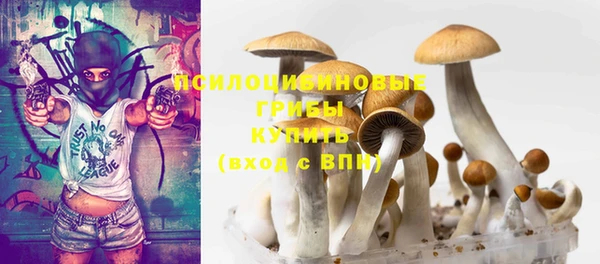 бошки Горно-Алтайск