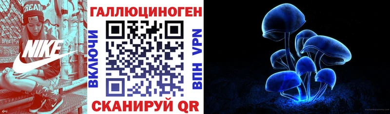 Галлюциногенные грибы Psilocybe  где продают   Полевской 